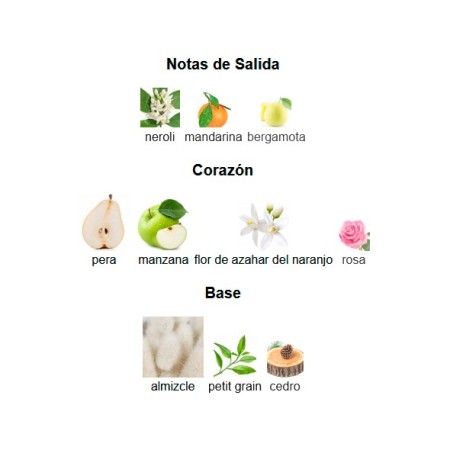 TOUS BABY EDC 100 ML