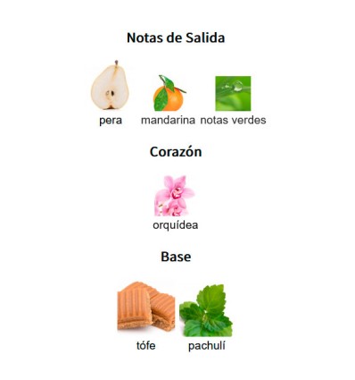 NOTAS DE SALIDA