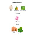 NOTAS DE SALIDA