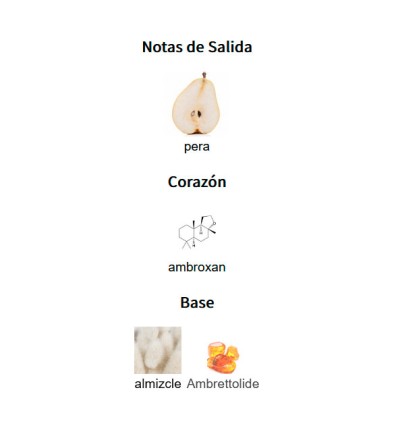 NOTAS DE SALIDA