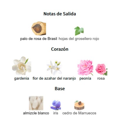 notas de salida
