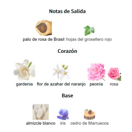 notas de salida