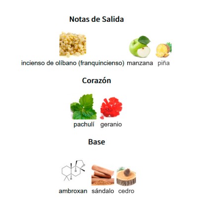 NOTAS DE SALIDA