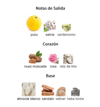 NOTAS DE SALIDA