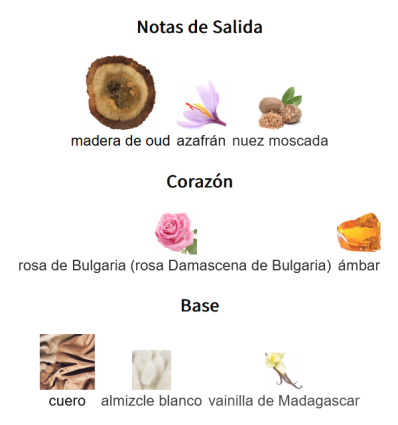 NOTAS DE SALIDA