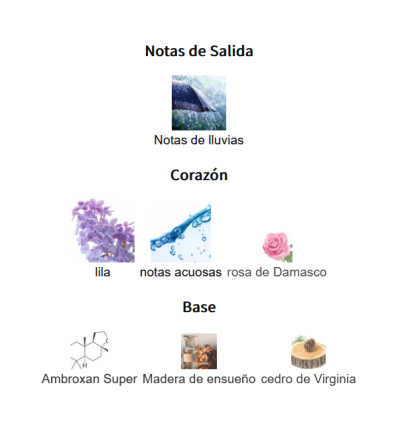 NOTAS DE SALIDA