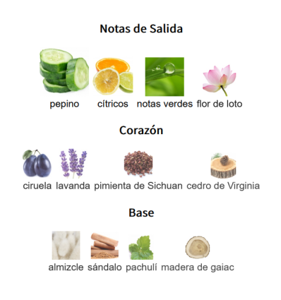 NOTAS DE SALIDA