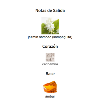 NOTAS DE SALIDA