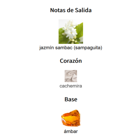 NOTAS DE SALIDA