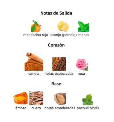 NOTAS DE SALIDA