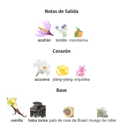 NOTAS DE SALIDA