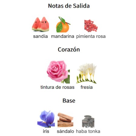 NOTAS DE SALIDA