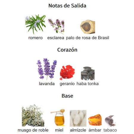 NOTAS DE SALIDA