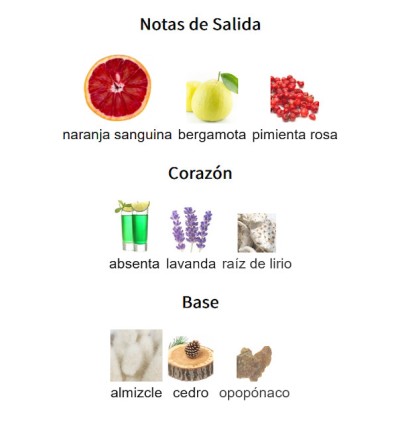 NOTAS DE SALIDA