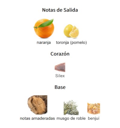 NOTAS DE SALIDA