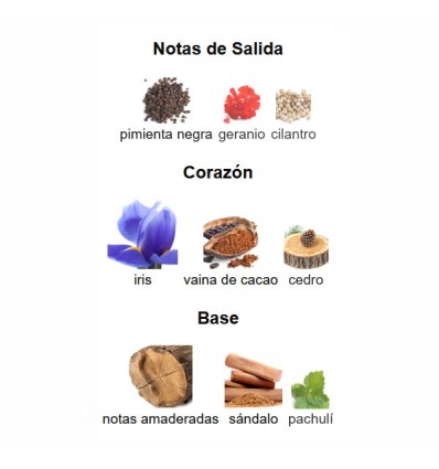 NOTAS DE SALIDA