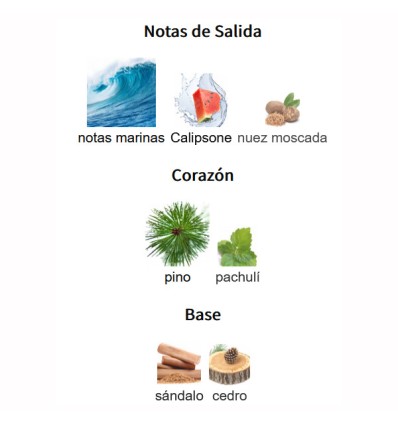 NOTAS DE SALIDA