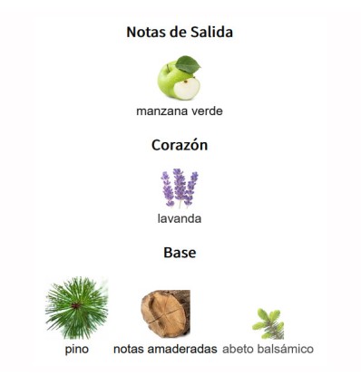 NOTAS DE SALIDA