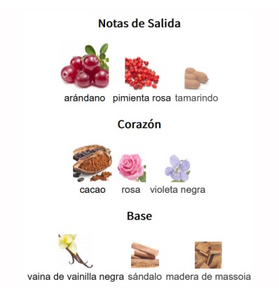 NOTAS DE SALIDA