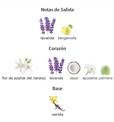 NOTAS DE SALIDA