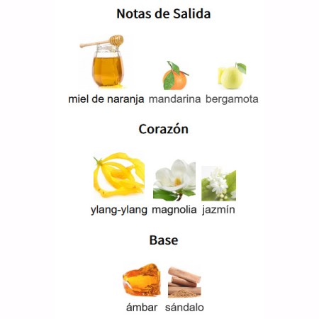 NOTAS DE SALIDA