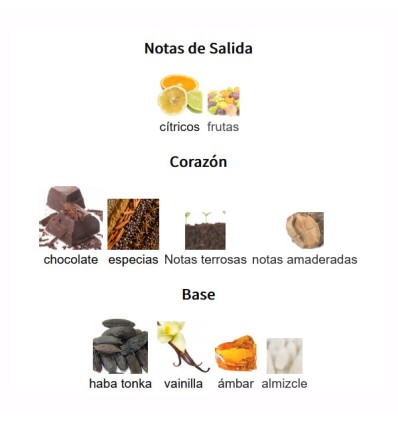 NOTAS DE SALIDA