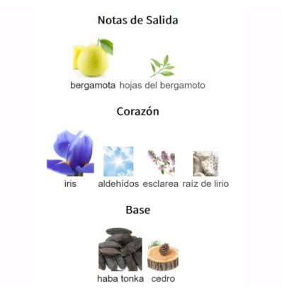 NOTAS DE SALIDA